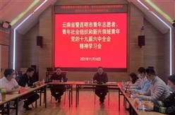 云南青年志愿者、青年社会组织和新兴领域青年学习党的十九届六中全会精神