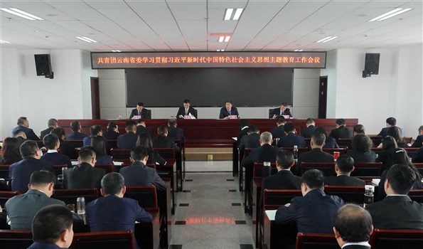 共青团云南省委学习贯彻习近平新时代中国特色社会主义思想主题教育工作会议召开
