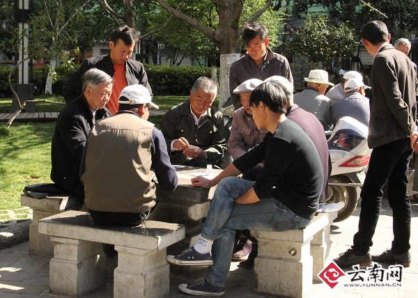 金马坊附近的小公园里，人们边晒太阳边打牌。