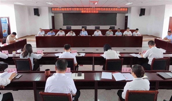共青团云南省委召开学习贯彻习近平新时代中国特色社会主义思想主题教育调研成果交流会