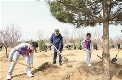 第一观察 | 提质兴业利民，总书记为推进国土绿化指引方向