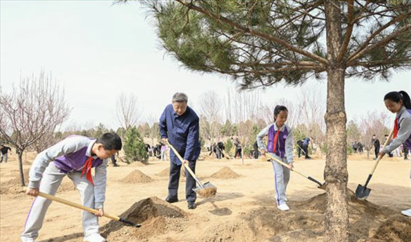 第一观察 | 提质兴业利民，总书记为推进国土绿化指引方向